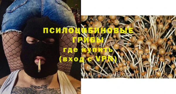 спиды Горняк