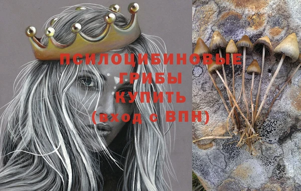 мяу мяу мука Вязьма