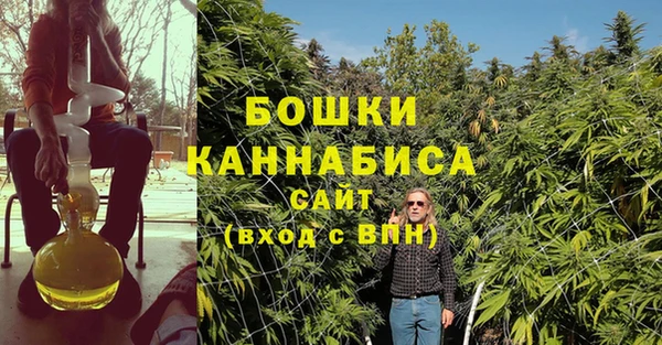 сатива Вяземский