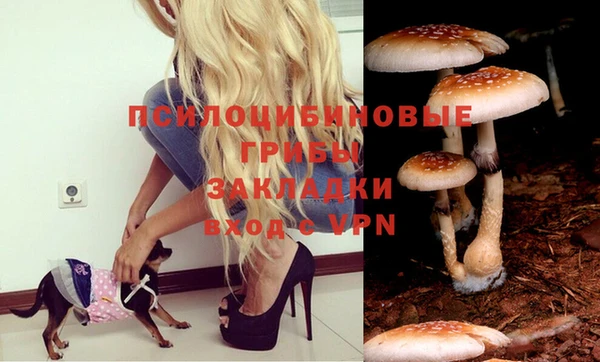 прущая мука Горно-Алтайск