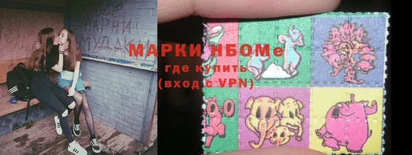 сатива Вяземский