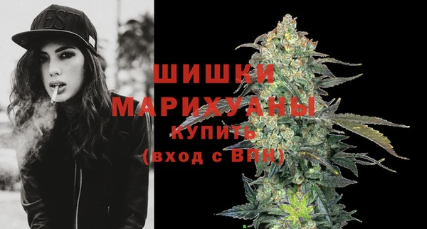 сатива Вяземский