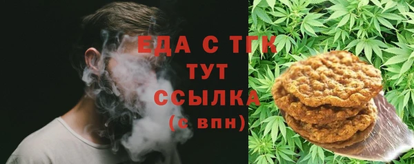 спиды Горняк